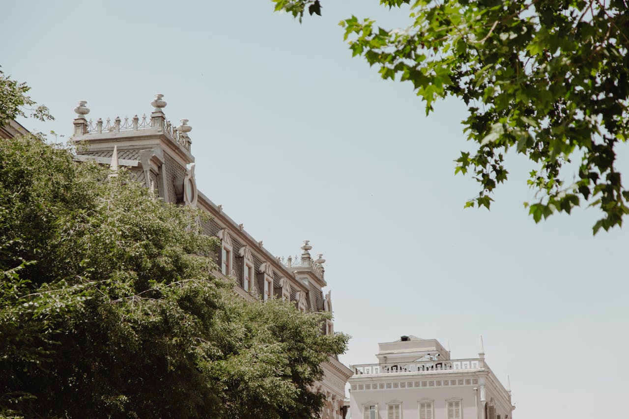 Roof Towers of a Classic Palace